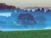 Morgennebel zieht durchs Tal